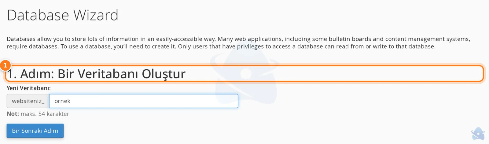 Database Wizard ilk adım: yeni veritabanı adı