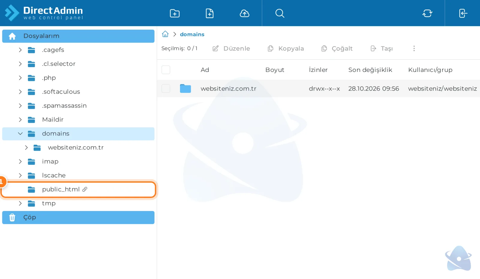 DirectAdmin dosya yöneticisi: klasör ağacı ve public_html