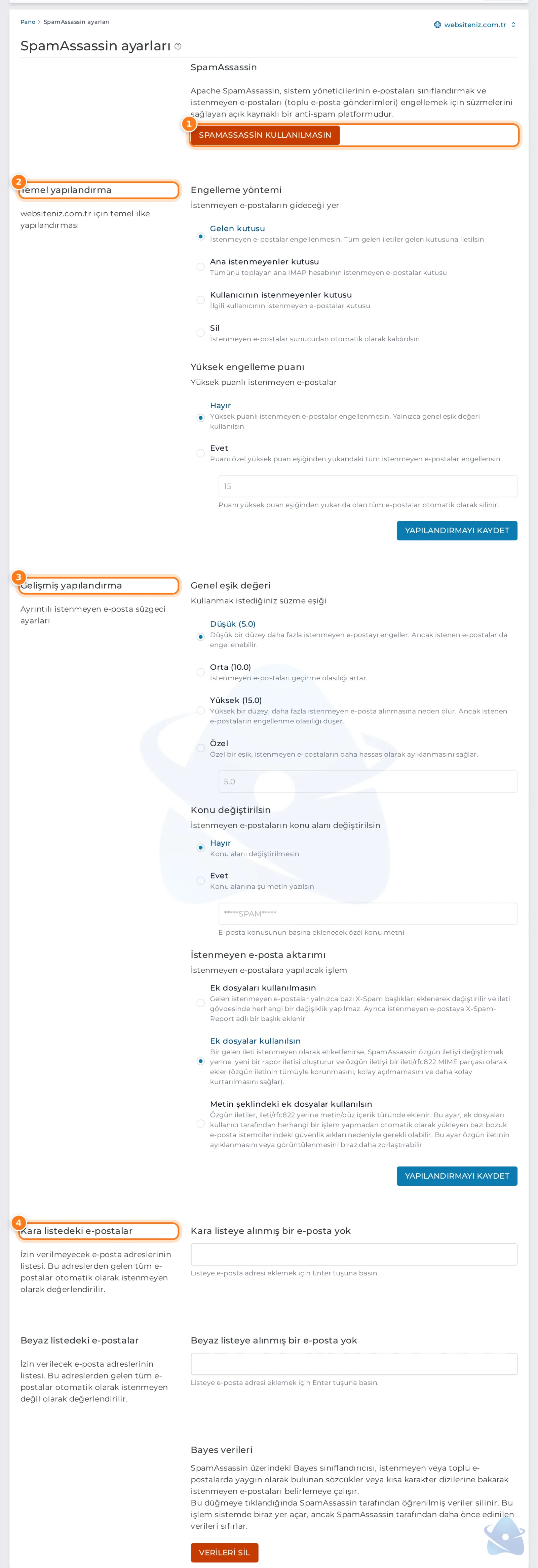 SpamAssassin ayarları: açma kapama, temel ve gelişmiş yapılandırma, kara liste