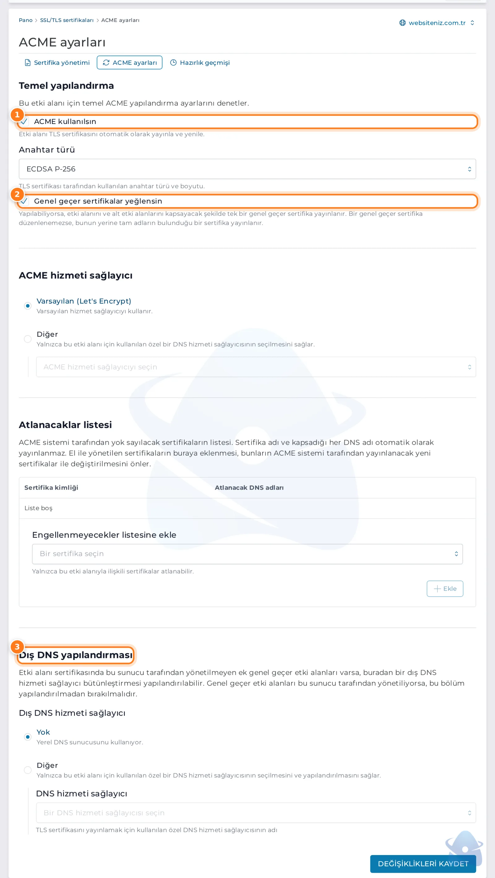 ACME ayarları: ACME kullanılsın, genel geçer sertifika tercihi ve dış DNS yapılandırması