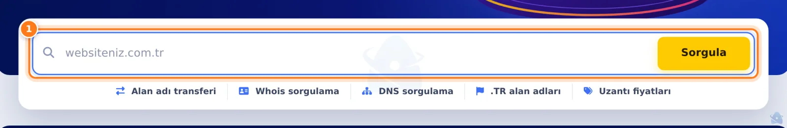 Alan adı sorgulama kutusu