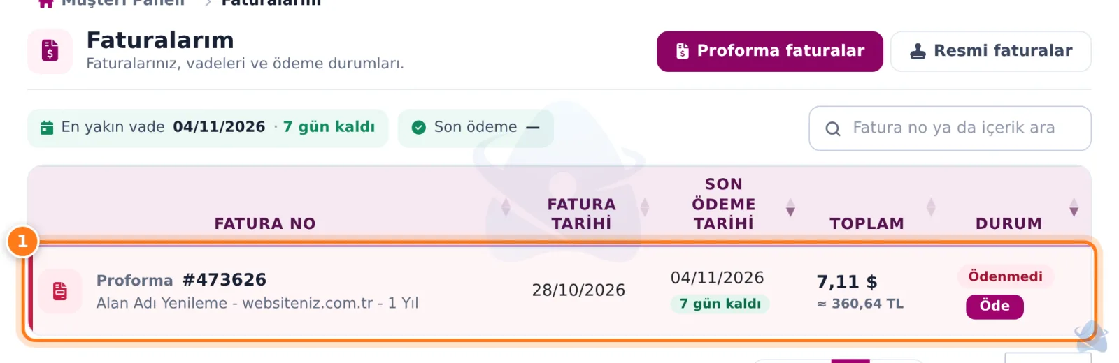 Faturalarım listesi: ödenmemiş proforma fatura satırı